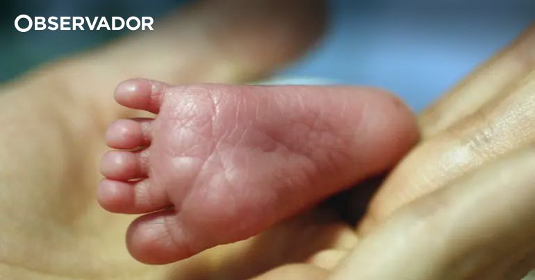 Gaia. Bebé entregue em posto da GNR encontra-se bem – Observador