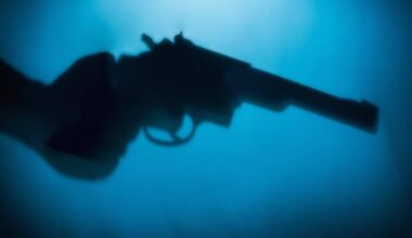 Governo sueco quer retirar nacionalidade a líderes de gangues