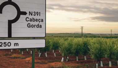 Rede montada pelo líder de grupo de tráfico de pessoas em Beja continua ativa