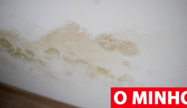 Condomínio tem 30 dias para fazer obras em apartamento com infiltrações de água