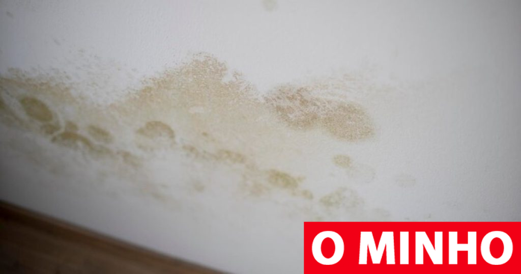 Condomínio tem 30 dias para fazer obras em apartamento com infiltrações de água