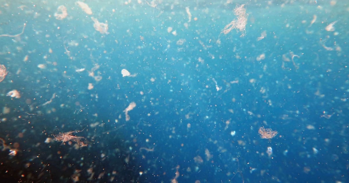 Novo estudo expõe como microplásticos confundem cálculos do carbono oceânico – Noticias R7