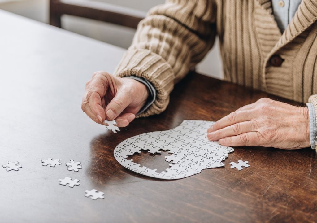 ciência do cérebro humano