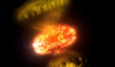 Astrônomos capturam estrelas explodindo em detalhes nunca vistos antes na galáxia – Noticias R7