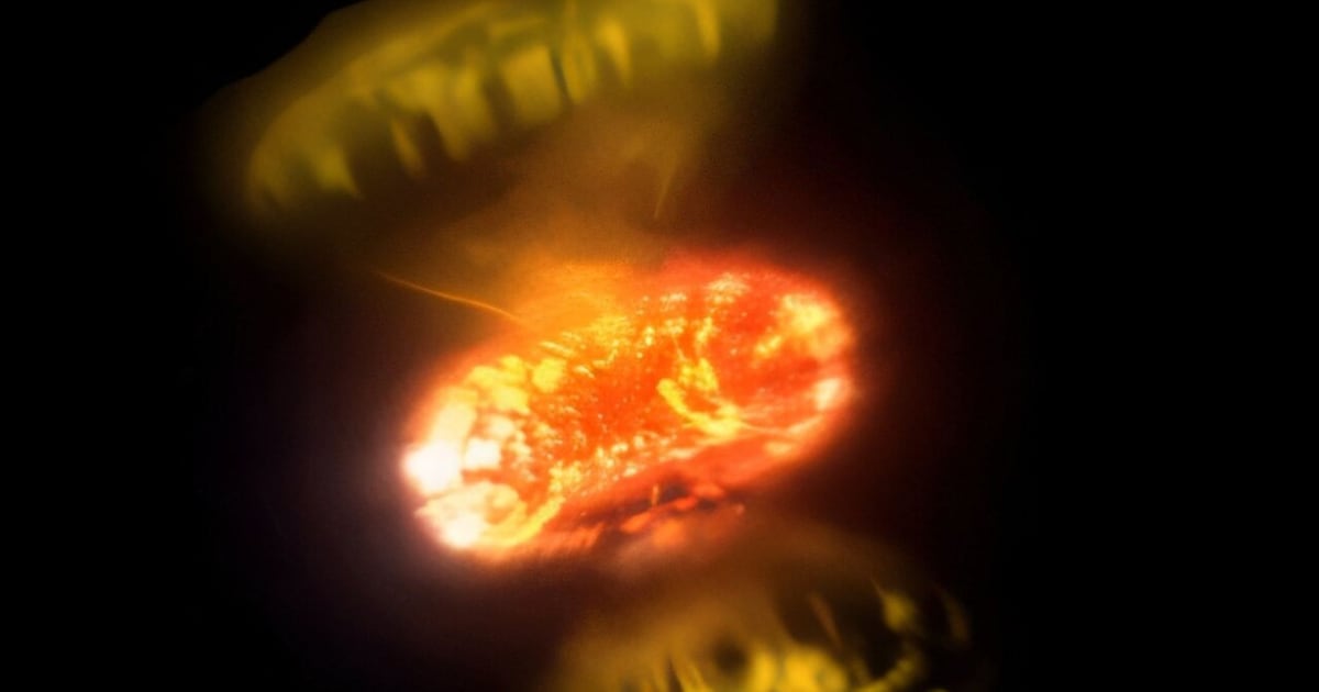 Astrônomos capturam estrelas explodindo em detalhes nunca vistos antes na galáxia – Noticias R7