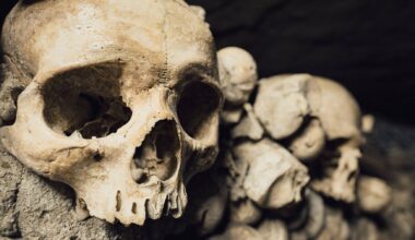 Homo sapiens terá evoluído em isolamento durante 200 mil anos na África Austral