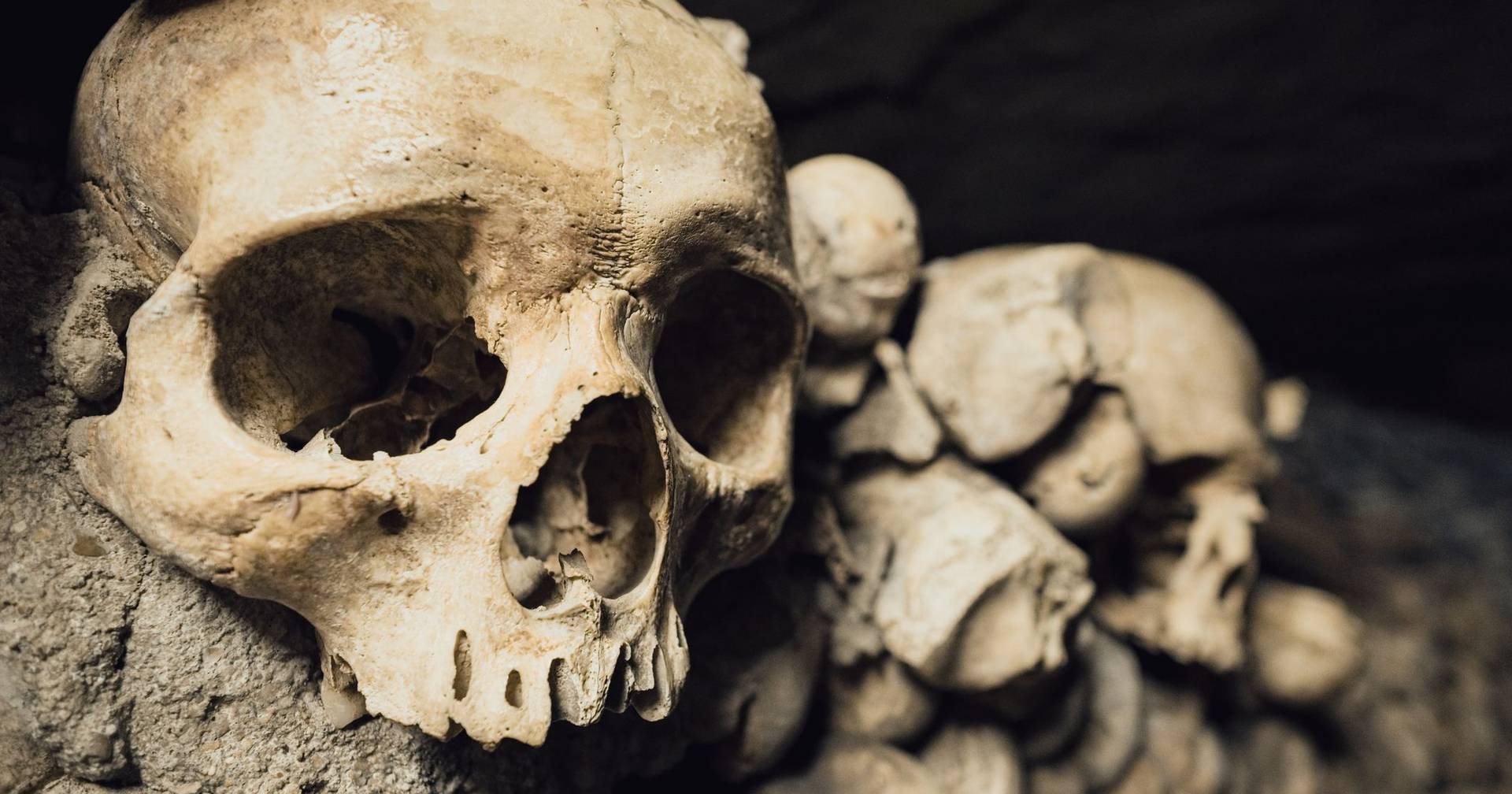 Homo sapiens terá evoluído em isolamento durante 200 mil anos na África Austral