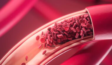 Como o calor e as viagens podem aumentar o risco de trombose no fim de ano