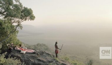 "Estamos a criar uma ilusão para nós próprios". Fotógrafo mostra como os seres humanos perderam o contacto com a natureza