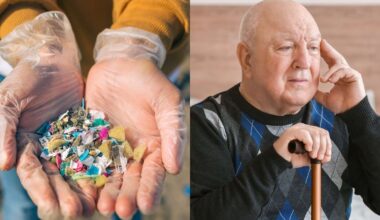 Microplásticos ingeridos podem causar inflamação e acelerar Alzheimer e Parkinson, revela estudo – Noticias R7