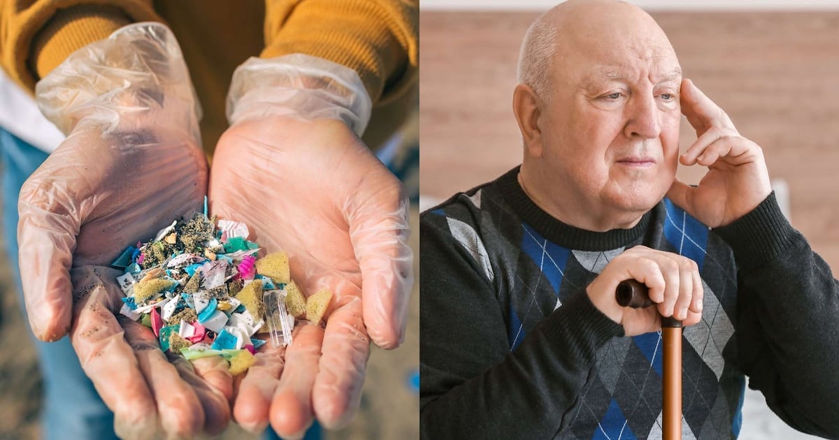 Microplásticos ingeridos podem causar inflamação e acelerar Alzheimer e Parkinson, revela estudo – Noticias R7