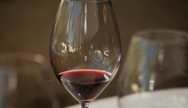 Excecional? Vinho do Pingo Doce tem 90 pontos e custa menos de 5 euros