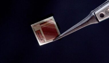 Chip minúsculo promete ‘ler’ o cerébro em tempo real – Noticias R7