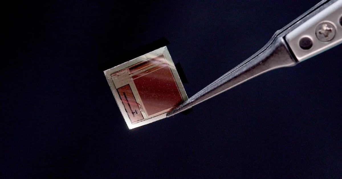 Chip minúsculo promete ‘ler’ o cerébro em tempo real – Noticias R7