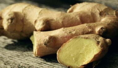 Gengibre pode reduzir dores e náuseas e melhorar digestão - 14/12/2025 - Equilíbrio