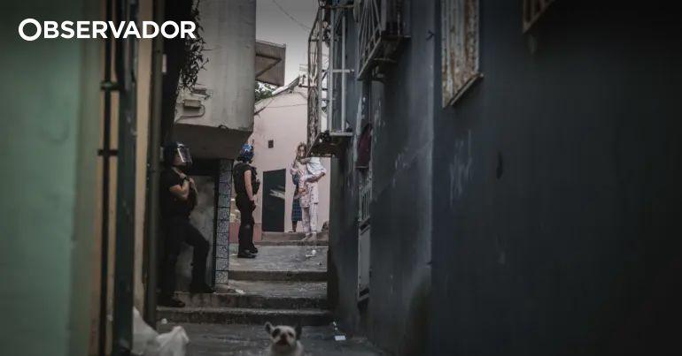 Polícias apedrejados em perseguição na Cova da Moura – Observador