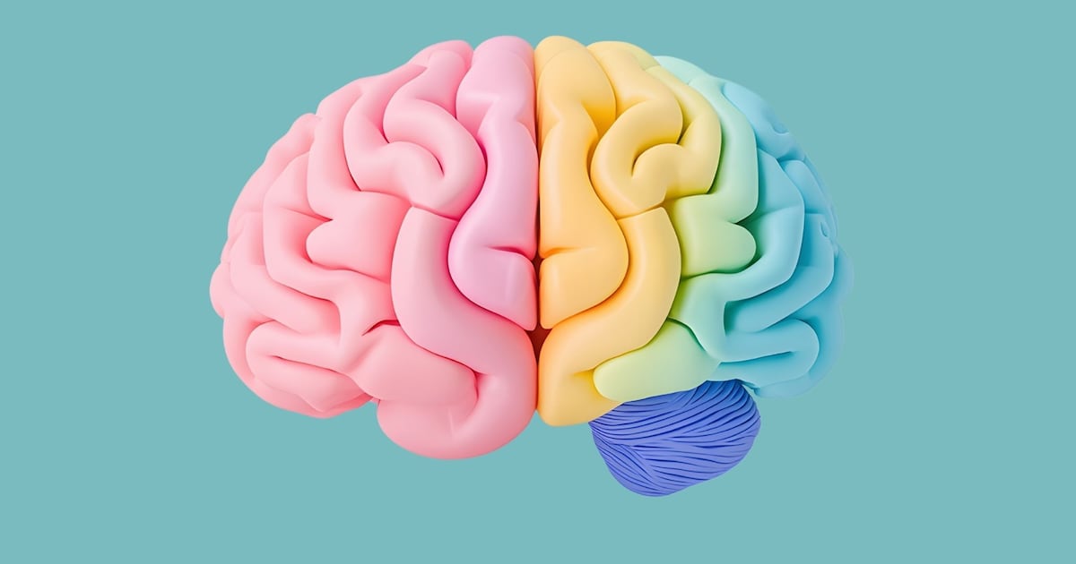 Novo mapa cerebral revela por que lembranças desaparecem no Alzheimer – Noticias R7