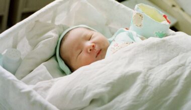 Bilionário chinês usou barrigas de aluguer nos EUA para ter mais de 100 filhos (e não é caso único)