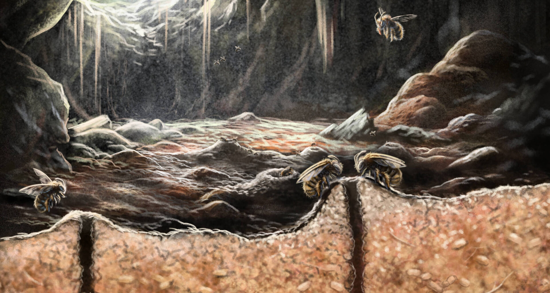 Abelhas criavam ninhos em ossos há milhares de anos - 19/12/2025 - Ciência