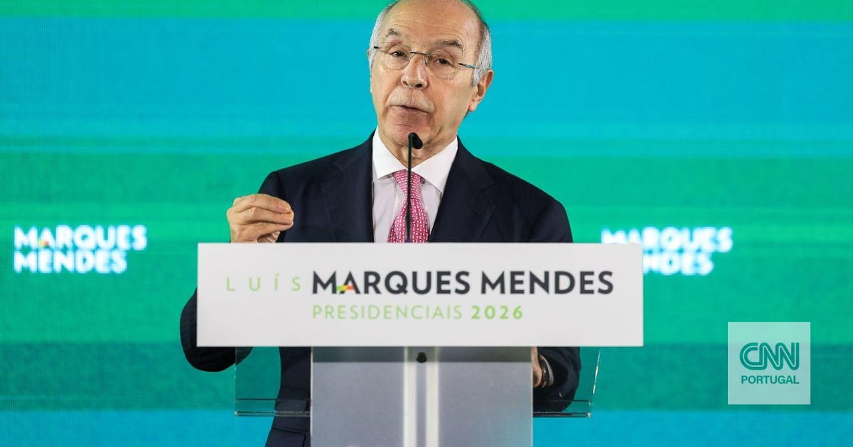 Contas do PSD dizem que sim, mas ex-secretária de Marques Mendes garante que não deu 8 mil euros ao partido