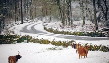 Seis distritos em aviso laranja e quatro em amarelo para queda de neve este sábado e domingo