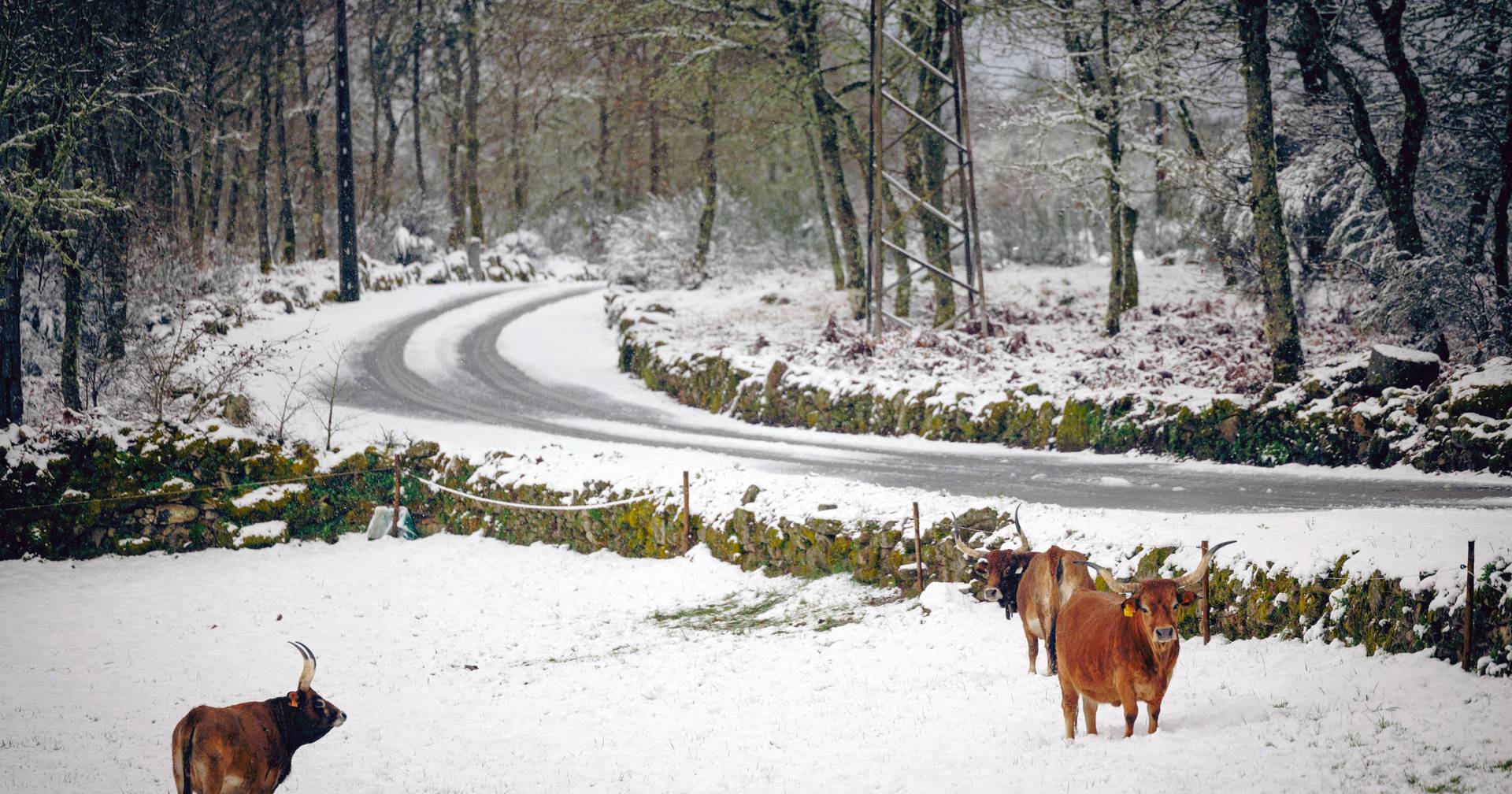 Seis distritos em aviso laranja e quatro em amarelo para queda de neve este sábado e domingo