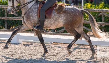 Candidato autárquico do Chega detido por suspeita de abuso de menores