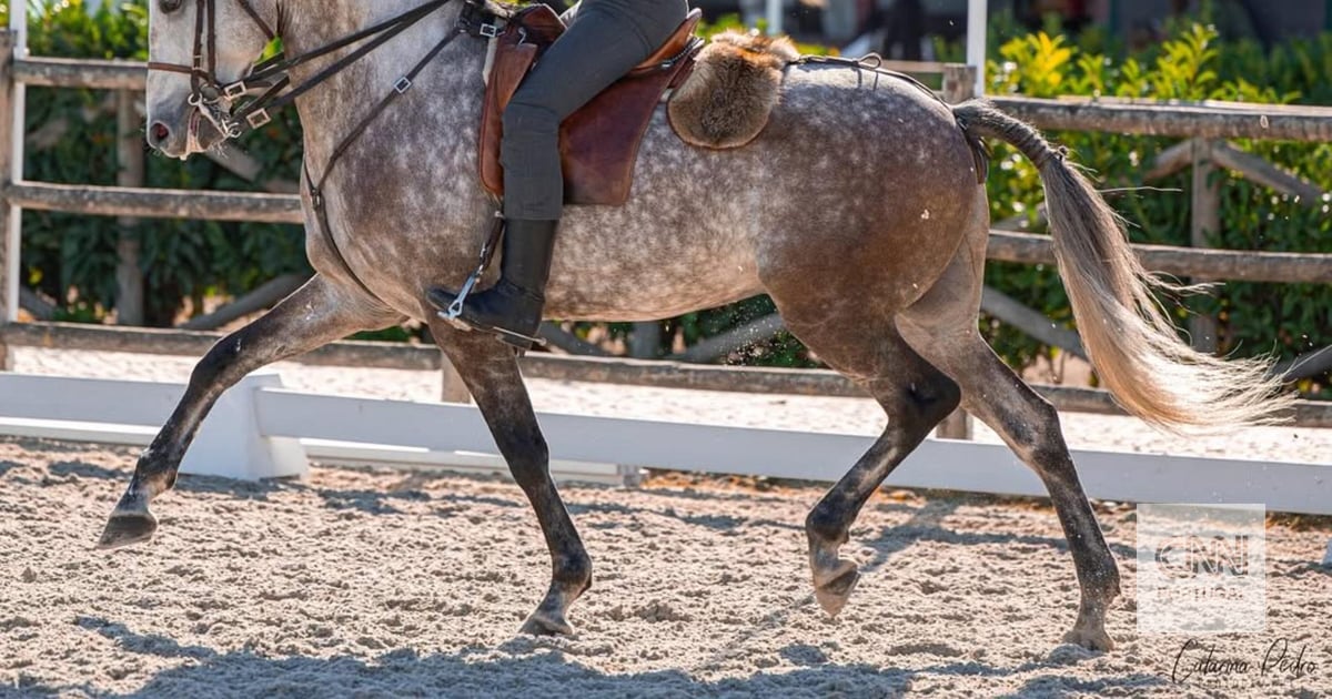Candidato autárquico do Chega detido por suspeita de abuso de menores