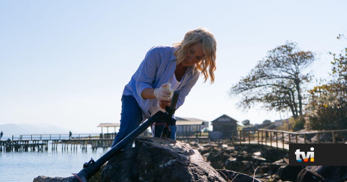Vem aí em «Terra Forte»: Revelamos toda a verdade sobre o 'acidente' de Vivi - Novelas
