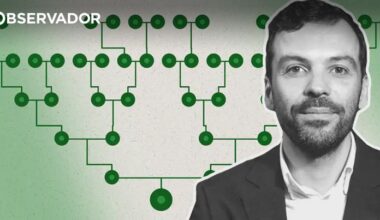 a árvore de Jorge Pinto – Observador