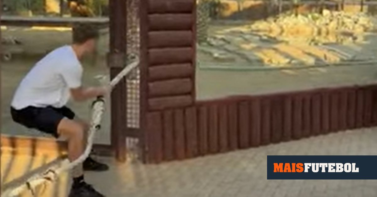 INCRÍVEL: jogador do Real Madrid desafia tigre para exercício de força