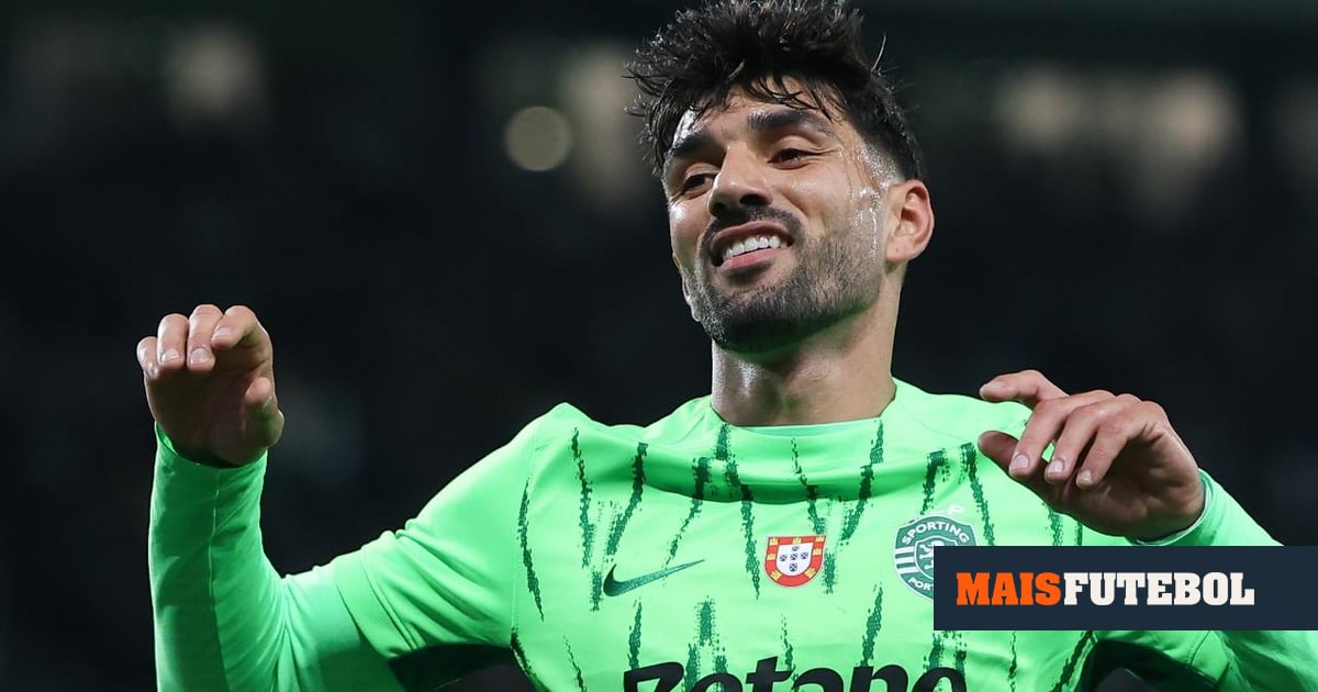 Agência de Esgaio responde a Rui Rocha: «Mais fiável do que uma Rocha»