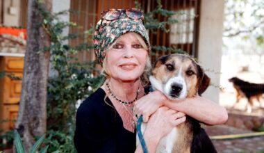 Morreu a atriz Brigitte Bardot