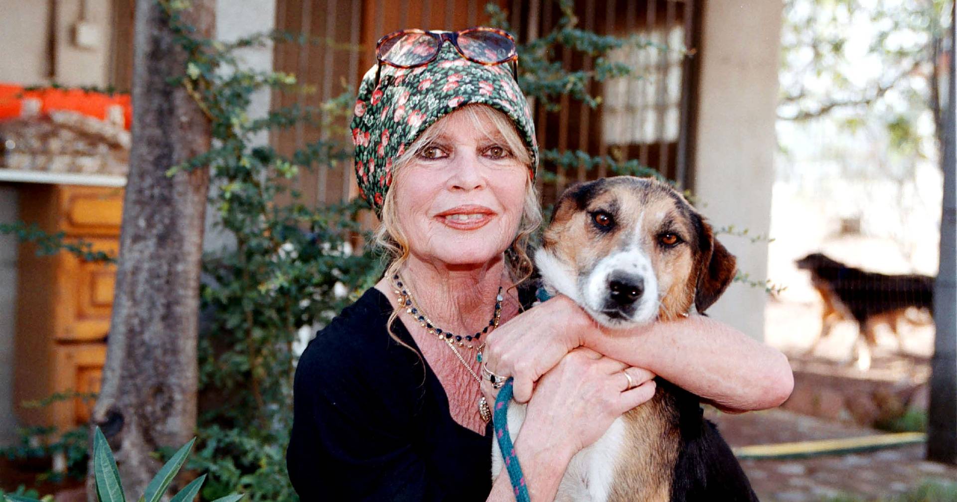 Morreu a atriz Brigitte Bardot