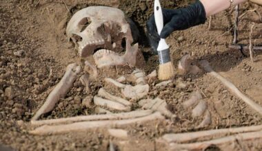 Os humanos poderão ser esquecidos daqui a milhões de anos? - 29/12/2025 - Ciência