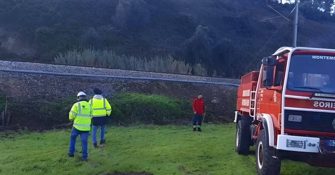Comboio regional atropelou e matou 100 ovelhas no ramal de Alfarelos