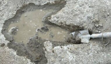 As descobertas científicas mais sensacionais de 2025 - 29/12/2025 - Ciência