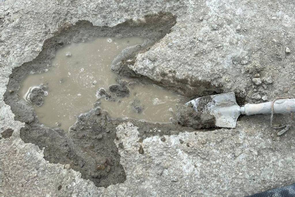 As descobertas científicas mais sensacionais de 2025 - 29/12/2025 - Ciência