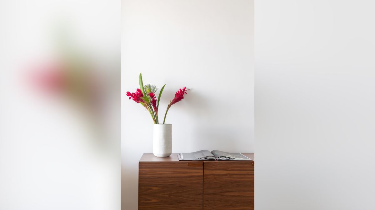 como é a casa de clara moneke a leo de dona de mim