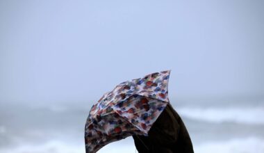 Depressão Francis traz chuva, vento e ondulação forte no primeiro dia do ano