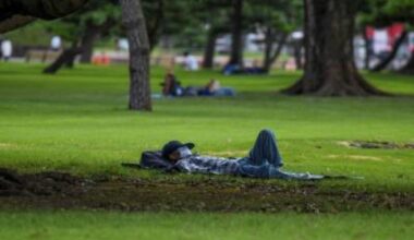 Sonecas de até 30 minutos durante o dia podem ser positivas para melhorar a qualidade do sono noturno -  (crédito: Kazuhiro Nogi)