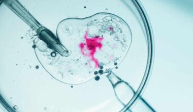 A Fertilização in Vitro ainda é cercada por dúvidas e expectativas irreais (Imagem: Rohane Hamilton