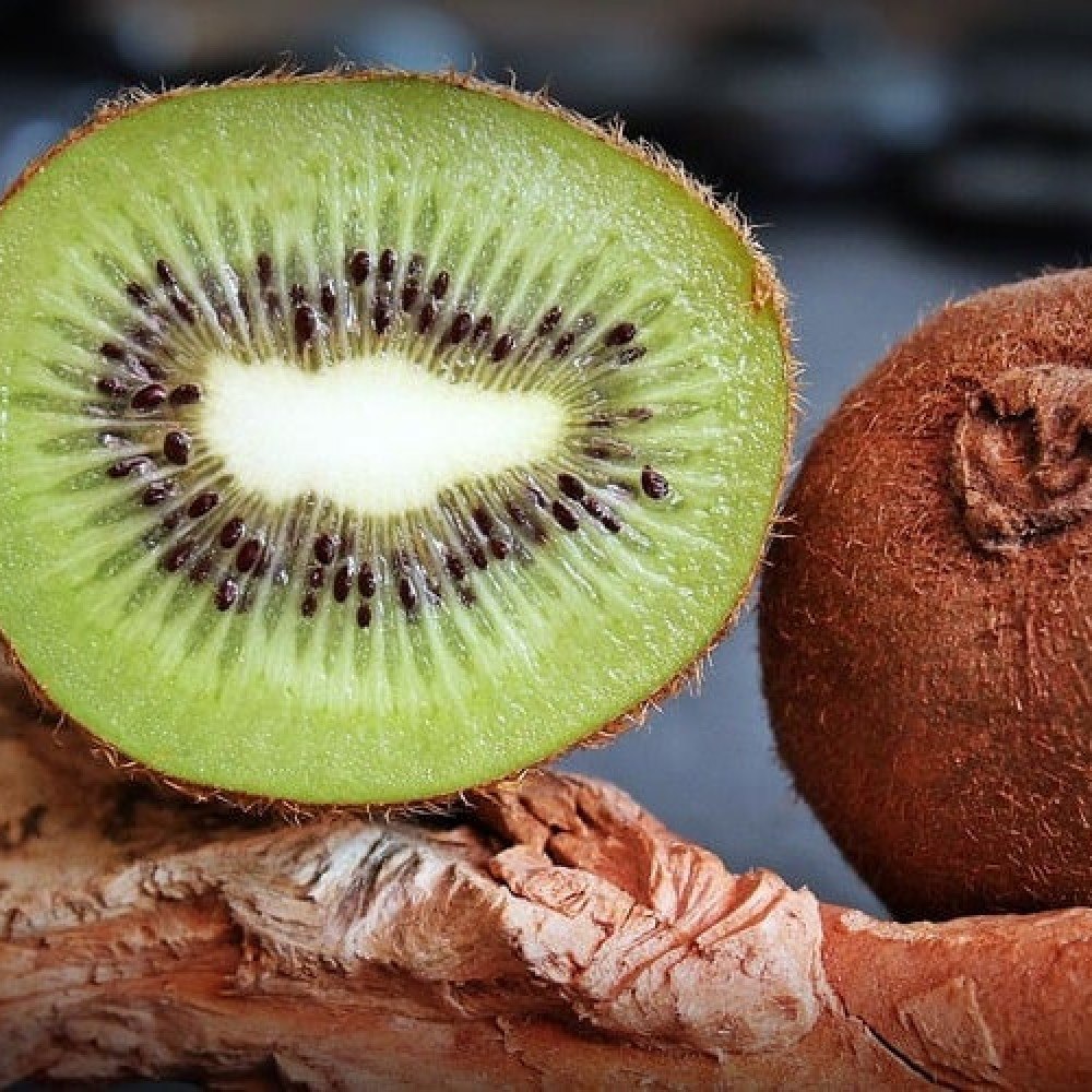 Nova diretriz recomenda kiwi e psyllium contra constipação crônica