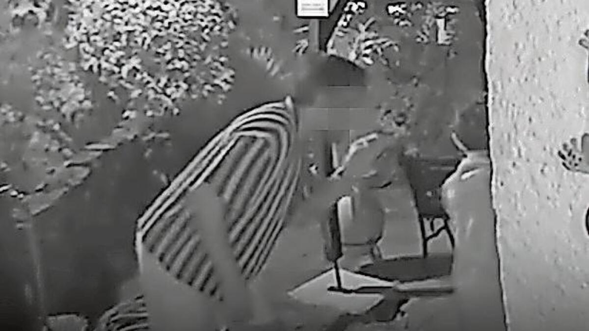 Jornal de Notícias Logo