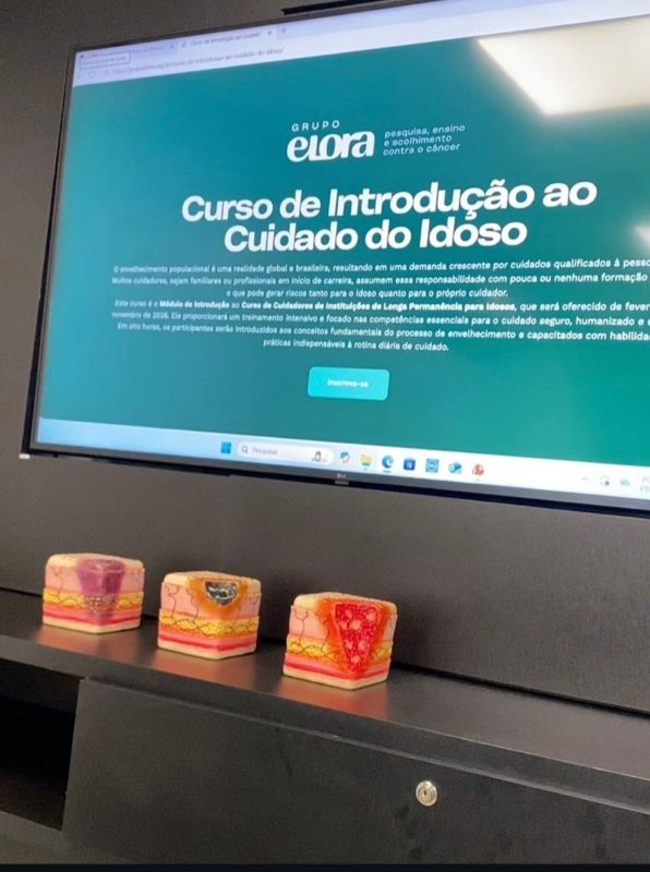 Cursos, parcerias e eventos especializados marcaram um ano de avanços na educação e na produção de conhecimento - Foto: Divulgação/Grupo Elora/ND