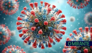 O MIRANTE | OMS alerta para época gripal intensa e antecipada