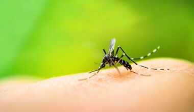 Diário do Grande ABC - Notícias e informações do Grande ABC: Santo André, São Bernardo, São Caetano, Diadema, Mauá, Ribeirão Pires e Rio Grande da Serra