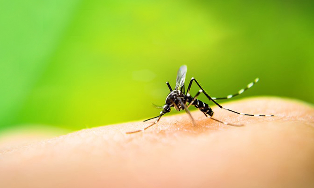 Diário do Grande ABC - Notícias e informações do Grande ABC: Santo André, São Bernardo, São Caetano, Diadema, Mauá, Ribeirão Pires e Rio Grande da Serra