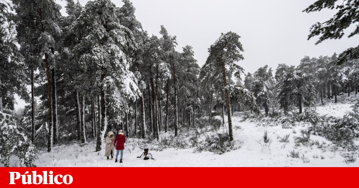 Neve fecha estradas na serra da Estrela e Viseu. Escolas de Montalegre encerradas | Meteorologia