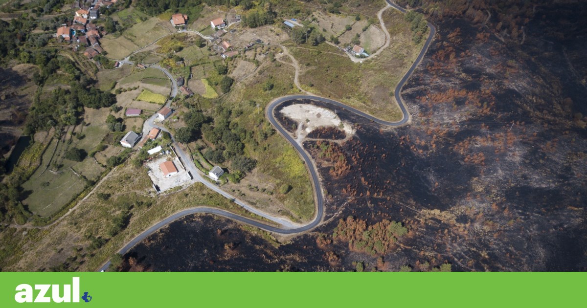 Levar o planeta à revisão custa 7 biliões por ano. Não fazer nada sai muito mais caro | Clima